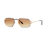 Cartier Man Sunglass CT0468S - Frame color: Gold, Lens color: Brown