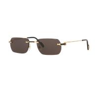 Cartier Man Sunglass CT0498S - Frame color: Gold, Lens color: Grey