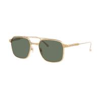 Cartier Man Sunglass Ct0610S - Frame color: Gold, Lens color: Green Polarized