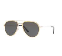 Cartier Unisex Sunglass CT0325S - Frame color: Silver, Lens color: Silver