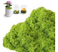 Cartlant 200g Artificial Moss for Plant Pots, Light Green Faux Fake Moss Realistic Indoor Craft Decor, Preserved Dried Ground Cover Lichen for Terrarium, Hanging Baskets, Fairy Garden Planters