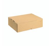 Carton/Lid 305X215X100MM Brn PK10