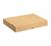 Carton with Lid 305x215x50mm Brown Pk 10