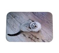Cartoon Animal For Printing Bathroom Anti-slip Mat Outdoor Entrance Indoor Carpet Rugs Doormat Anti- Outdoor Entrance Cartoon Printing Doormat Non- Shower Car Bathtub Carpet And Mats