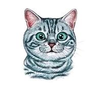 Cartoon Animals Children Temporary Tattoo Sticker Small Waterproof Fake Body Art Tattoos Cute Dog Cat(010)