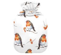 Cartoon Bird Orange Hot Water Bottle with Soft Cover Hand Feet Warmer Hot Water Bag for Menstrual Cramps