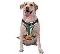 Cartoon Cactus Dog Harness for Small, Medium, and Large Dogs â€“ Reflective Straps, Adjustable Fit with Quick-Release Buckles