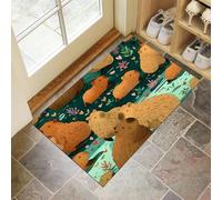 Cartoon Capybara Door Mats 60 X 90 Cm, Washable Indoor Doormat Tpr Non-Slip, Dirt Trapper Front Door Mat Inside, Cute Animals Absorbent Entrance Rug For Entryway, Pets Dogs - Mixed Colors
