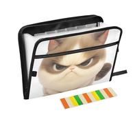 Cartoon Cute Angry Cat Accordion File Organizer 13 Pockets A4 Letter Size with Zipper Closure for Home Office Folder with Labels para guardar documentos