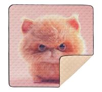 Cartoon Cute Angry Cat Large Sturdy Baby Gym & Activity Mat for Indoor Outdoor Cozy Breathable Baby Crawling Mat for Babies Infants Toddlers, 50'' x 50''