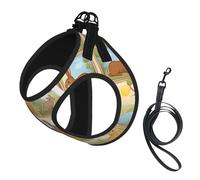 Cartoon Cute Animals Rabbit Print Adjustable Reflective Harness Leash Set For Cats, Dogs And Small Pets, Soft Breathable Mesh Walking Vest With Escape-Proof Lead