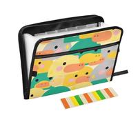 Cartoon Cute Duck Yellow Green Folders for Documents 13 Pockets A4 Letter Size with Zipper Closure for File Folder with Pockets