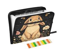 Cartoon Cute Funny Lop-Eared Rabbit Folder for School 13 Pockets A4 Letter Size with Zipper Closure for Paperwork Paper File Organizer organizador