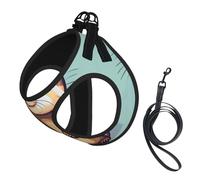 Cartoon Cute Otters print Dog Harness, 2X Buckle,Dog Vest,No Pulling Front Leash Clip,for Small Medium Dogs