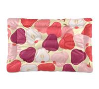 Cartoon Cute Pearl Red Washable Dog Sleeping Mattress Soft Anti-Slip Dog Crate Pad for Large Jumbo Medium Small Dogs 36" x 24"