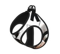 Cartoon Cute Raccoon Compact Pet Suspender Vest-The Perfect Small Pet For A Comfortable Walk