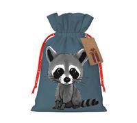 Cartoon Cute Raccoon Print Reusable Drawstring Pouch,Perfect For Birthdays,Anniversaries,And Parties