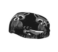 Cartoon cute raccoon Unisex Head band - Dry Head Tie - Sports Sweatband - Ideal for Running, Football, Tennis