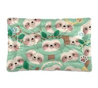 Cartoon Cute Sloth Green Washable Dog Cat Bed Soft Comfortable Anti-Slip Bottom Pet Mat for Large Jumbo Medium Small Dogs 36" x 24"