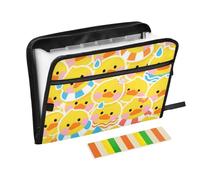Cartoon Cute Yellow Duck Expansion File Folders 13 Pockets A4 Letter Size with Zipper Closure for According File Organizer