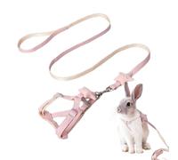 Cartoon Dog Harness Dog Harness with Harness - Dog Cat Cartoon Vest Harness Soft Strap Adjustable Vest Harness for Dog Training Indoor and Outdoor for Running, Camping