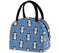 Cartoon Dogs in French Bulldog Insulated Lunch Tote Bag, Reusable Multi-Pocket Container Cooler Bag for Women&Men School Work Picnic Outdoor Travel