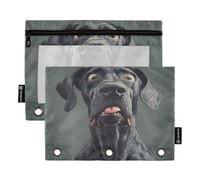 Cartoon Funny Great Dane Dogs Fear Ringing Binder Organizer with Clear Window Pencil case Clear Window & Grommets 3 Ringing Binder folders School Class Office Organizers Multicolored 2 PCS