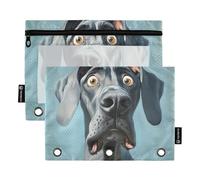Cartoon Funny Great Dane Dogs Fear Ringing Binder with Clear Window Large Zippered Pencil case Big Capacity 3 Ringing Zipper Binder for Storing School Students Teacher Supplies Multicolored 2 PCS