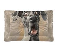 Cartoon Funny Great Dane Dogs Fear Washable Dog Cat Bed Non-Slip Soft Comfortable Kennel Pad for Large Jumbo Medium Small Dogs 36" x 24"