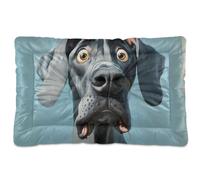 Cartoon Funny Great Dane Dogs Fear Washable Pet Mattress Soft Comfortable Anti-Slip Bottom Pet Mat for Large Jumbo Medium Small Dogs 36" x 24"