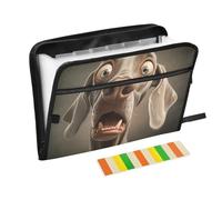Cartoon Funny Weimaraner Dogs Fear Expansion File 13 Pockets A4 Letter Size with Zipper Closure for Organizer Expanding Folder