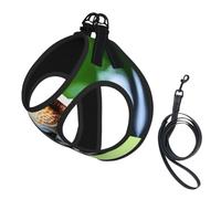 Cartoon Giraffe Print Step in Dog Harness and Leash Set,Adjustable Reflective Harness for Small Dogs Cats