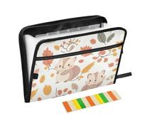 Cartoon Little Squirrel Cute Light Color Expanding File Folder with Labels 13 Pockets A4 Letter Size with Zipper Closure for Expanding File Jackets