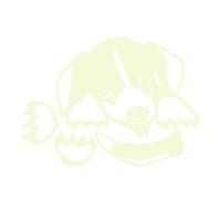 Cartoon Luminous Switch Sticker Glowing Wall Sticker Easy to Use Eco-Friendly PVC Material for Kids Room (g014)