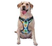Cartoon Monster Pattern Dog Harness - Lightweight,Soft,Adjustable Small Harness and Leash Set, Suitable for Puppy Small and Medium-Sized Dog-X-Large