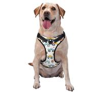Cartoon Monster Trucks Pattern Dog Harness - Lightweight,Soft,Adjustable Small Harness and Leash Set, Suitable for Puppy Small and Medium-Sized Dog-Large