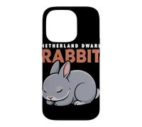 Cartoon Netherland Dwarf Rabbit Animal Lover Cute Rabbits Case for iPhone 14 Pro