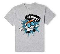 Cartoon Network Official Dexters Lab Genius T-Shirt - Grey Cartoon Network Grey One Size