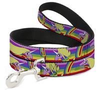 Cartoon Network Pet Leash, Dog Leash, Adventure Time Lady Raincorn Poses Stripe Rainbow, 6 Feet Long 0.5 Inch Wide