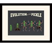 Cartoon Network Rick and Morty (Evolution Of The Pickle) 30 x 40cm Memorabilia