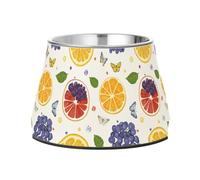 Cartoon Oregon Grape Fruit White Pets Food Bowl Elevated Stainless Steel Metal Pets Bowls for Dogs Cats Rabbits Birds Whisker Fatigue