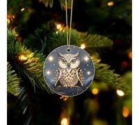 Cartoon Owl Christmas Ornaments - Xmas Tree Hanging Ornaments, Personalized Acrylic Circular Christmas Pendant for Holiday Keepsake Gifts