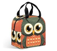 Cartoon Owl on Orange Background Lunch Bag for Adult, Leakproof Insulated Lunch Tote Bag with Zipper & Multiple Pockets, Large Capacity Lunchbox for Office Work Picnic