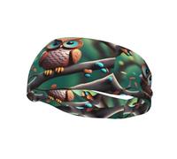 Cartoon Owl Pattern Sports Sweatband Headscarf Head Bands for Women Men Suitable for Running Yoga Fitness Football
