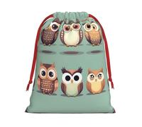 Cartoon Owls Cute Print Practical Drawstring Gift Travel Pouches Men Women Multiple Occasion Daily Carry