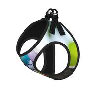 Cartoon Pigeon Adjustable Reflective Harness Leash Set For Cats And Dogs, Soft Breathable Mesh Vest With Escape-Proof Design For Small Pets