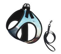 Cartoon Pigeon Print Dog Harness with Leash Set with Thickened Padded Vest for Extra-Small/Small Medium Dogs