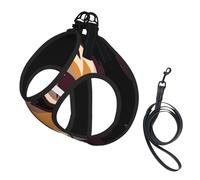 Cartoon Pomeranian Dog Print Harness Leash Set For Cats And Dogs, Reflective Adjustable, Soft Breathable Mesh Vest With Escape-Proof Lead, For Small Pets And Kitten Puppies