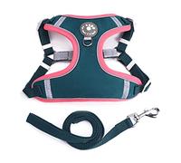 Cartoon Puppies Chest Strap Vest with Hook Soft Breathable for Pet Walking/Hiking with Reflective Stripes Pet Vest for Small Dogs