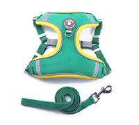 Cartoon Puppies Chest Strap Vest with Hook Soft Breathable for Pet Walking/Hiking with Reflective Stripes Pet Vest for Small Dogs
